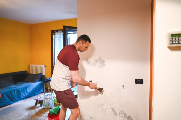 Reliable Moyie Springs, ID Mold Removal Solutions